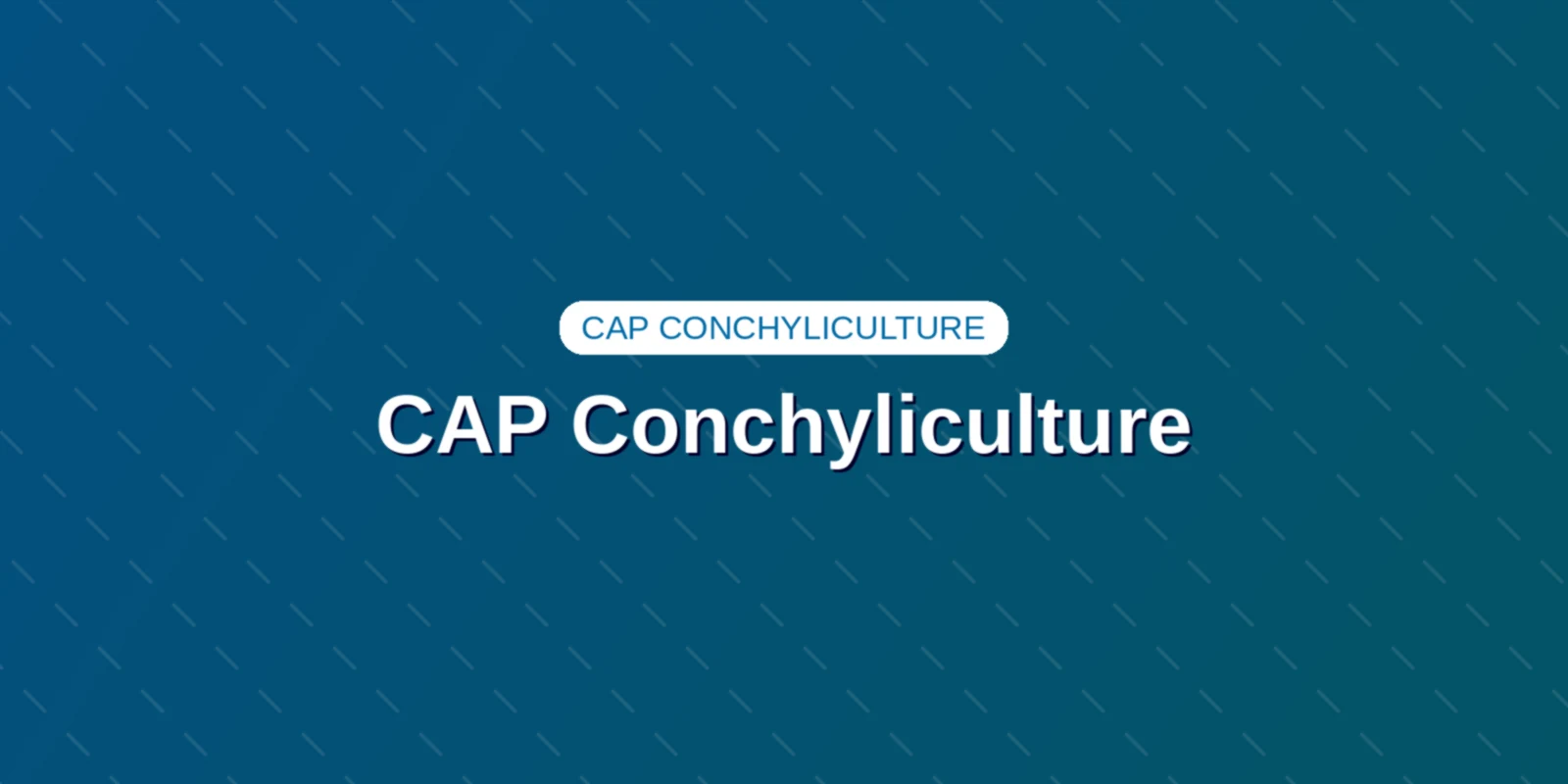 Couverture : CAP Conchyliculture : programme officiel et référentiel