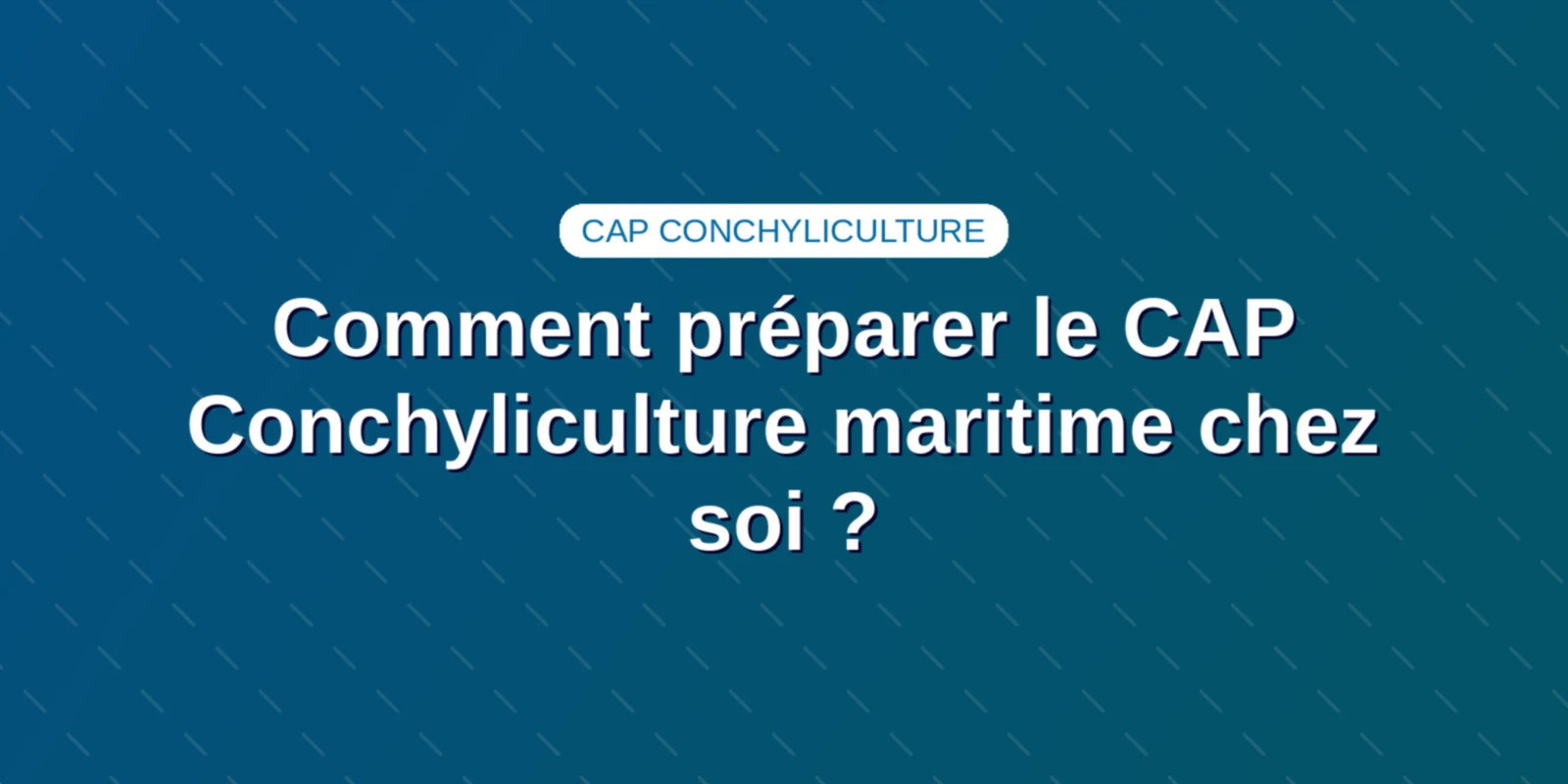Comment préparer le CAP Conchyliculture maritime chez soi ? Couverture : Comment préparer le CAP Conchyliculture maritime chez soi ?