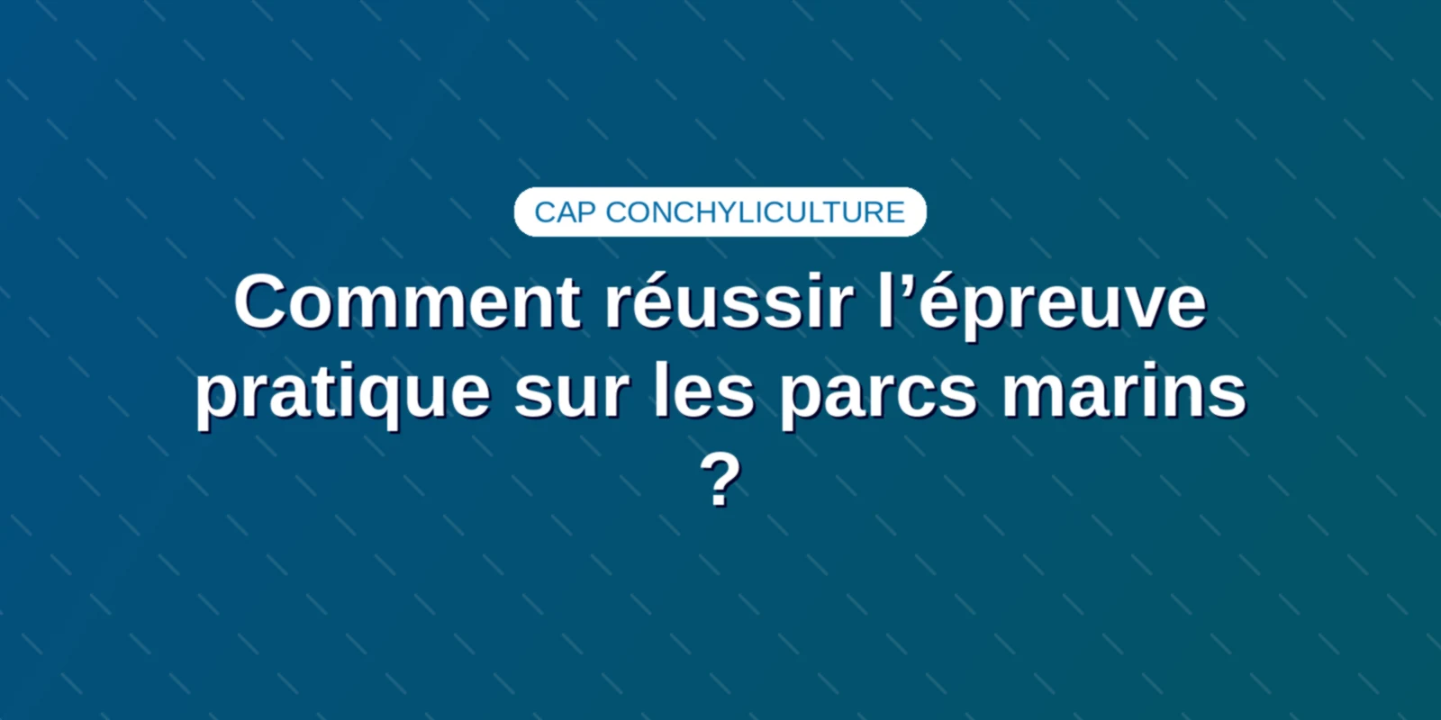 Comment réussir l’épreuve pratique sur les parcs marins ? Couverture : Comment réussir l’épreuve pratique sur les parcs marins ?