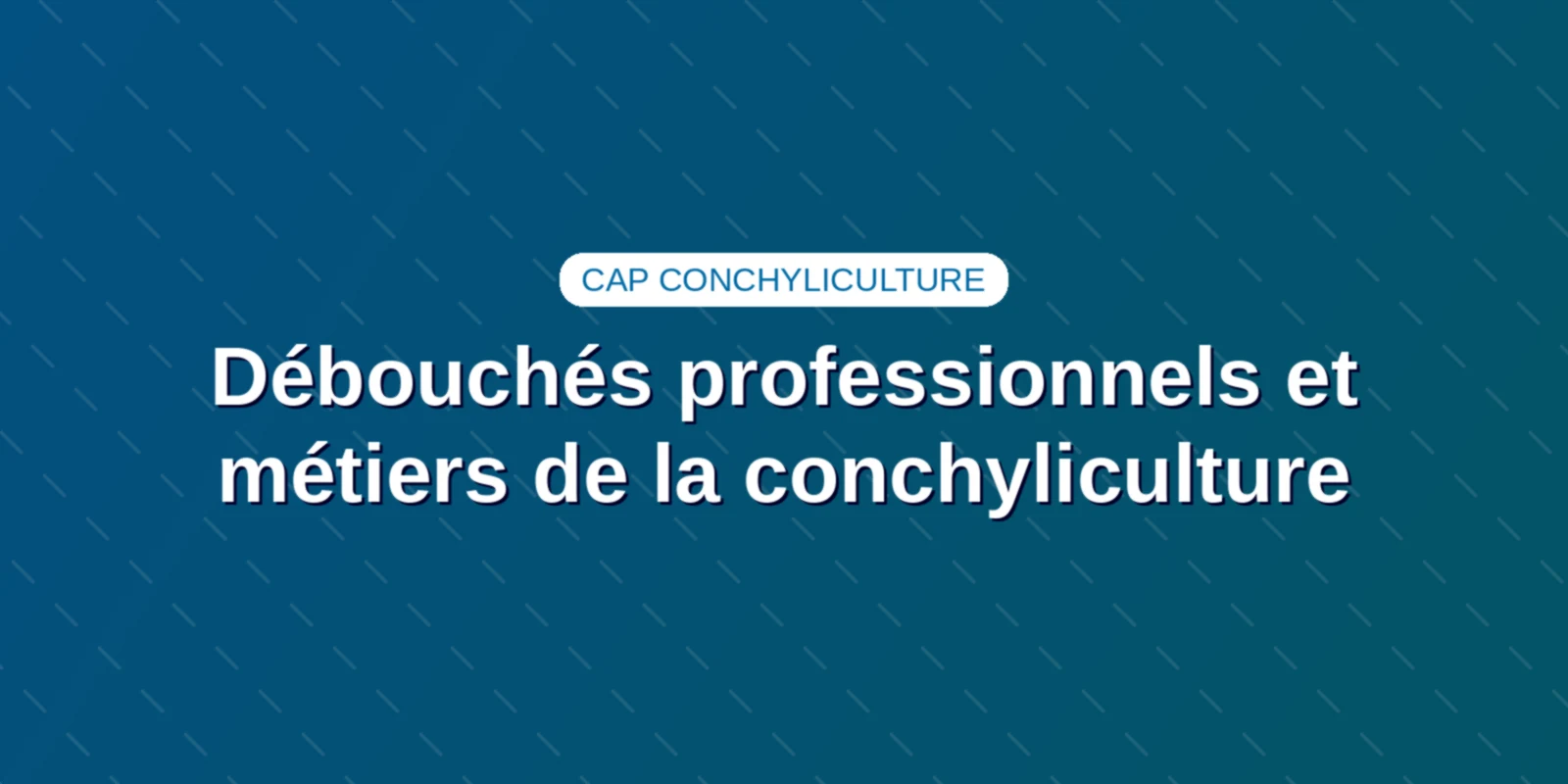Couverture : Débouchés professionnels et métiers de la conchyliculture