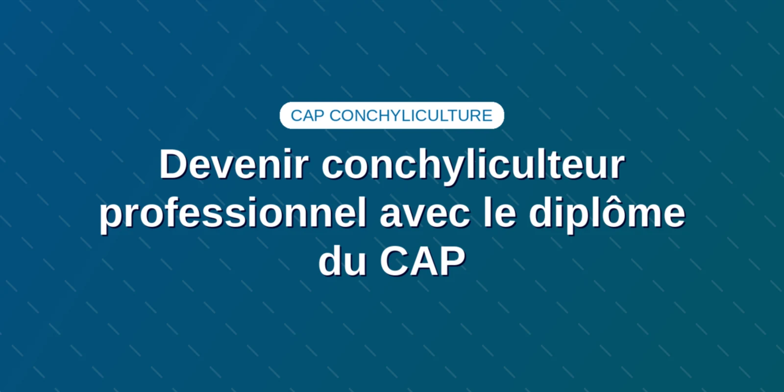 Devenir conchyliculteur professionnel avec le diplôme du CAP Couverture : Devenir conchyliculteur professionnel avec le diplôme du CAP