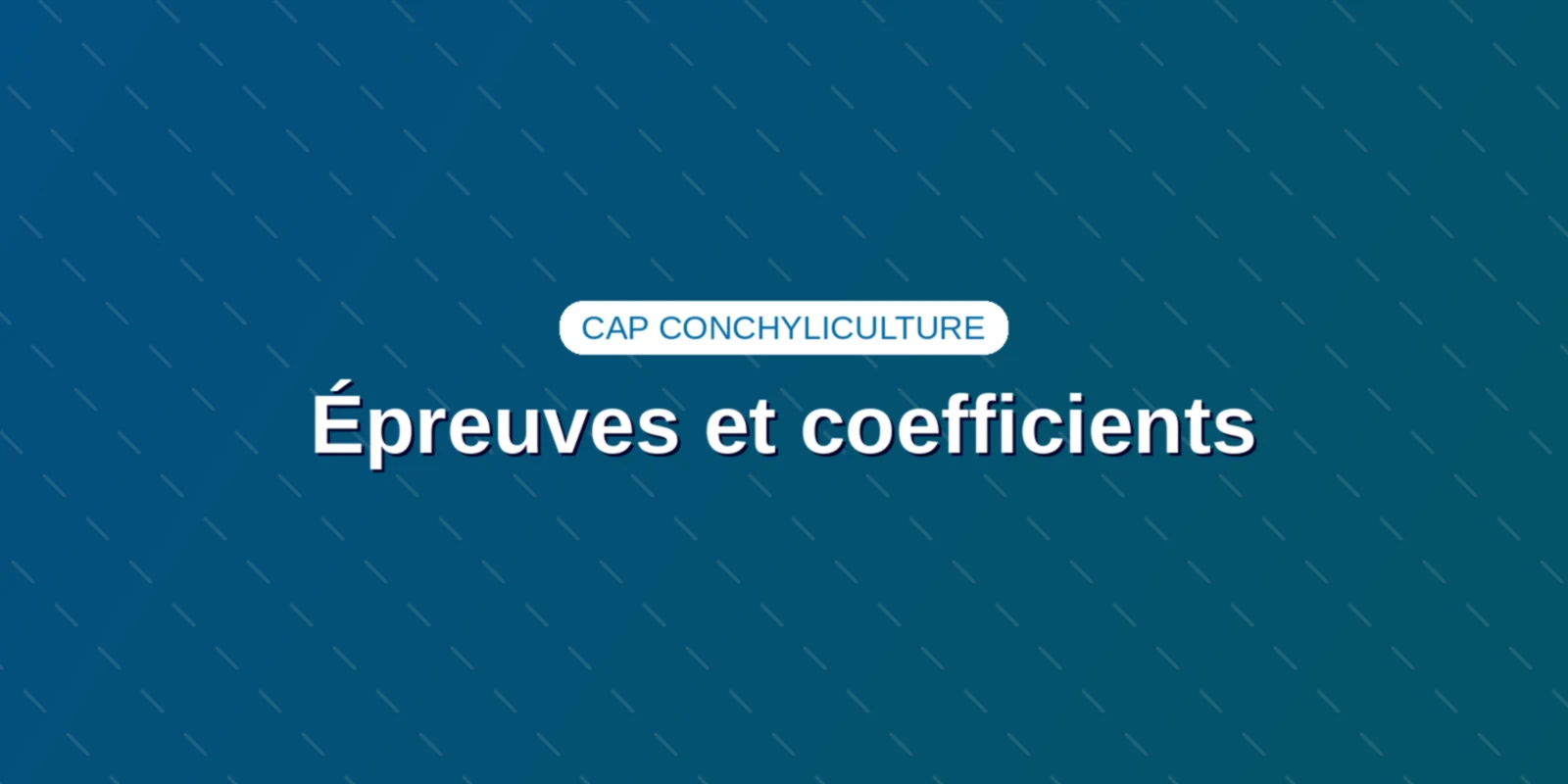 Couverture : Épreuves et coefficients : réussir le CAP Conchyliculture