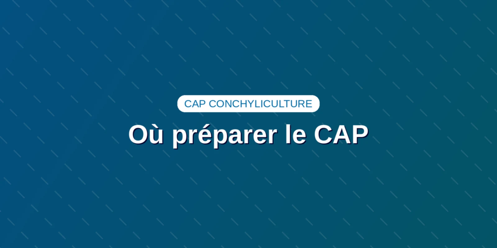 Couverture : Lycées maritimes et centres de formation préparant au CAP Conchyliculture en France