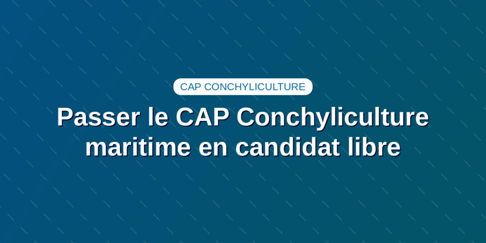 Couverture : Passer le CAP Conchyliculture maritime en candidat libre