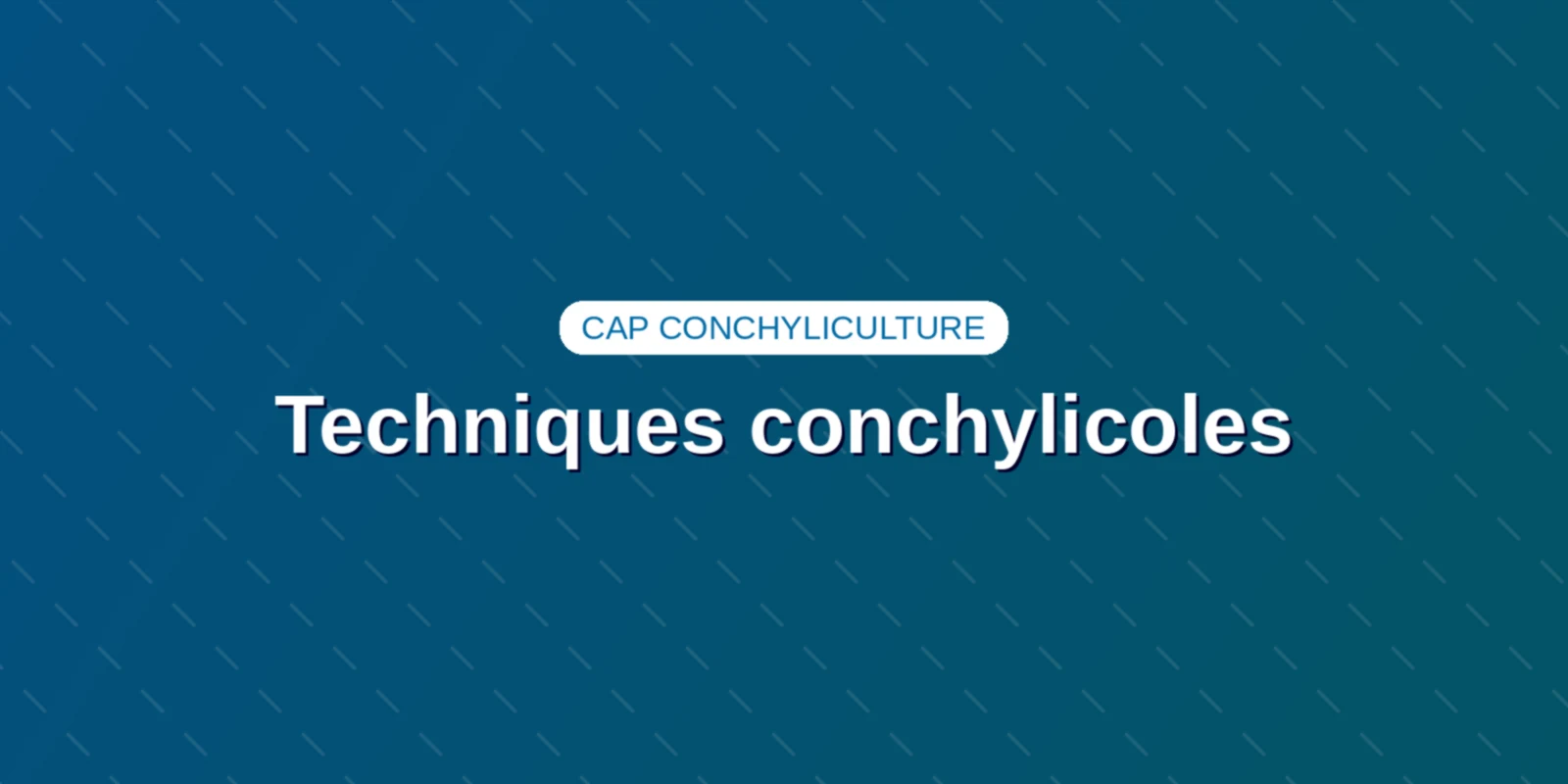 Couverture : Techniques conchylicoles : huîtres, moules et parcs marins