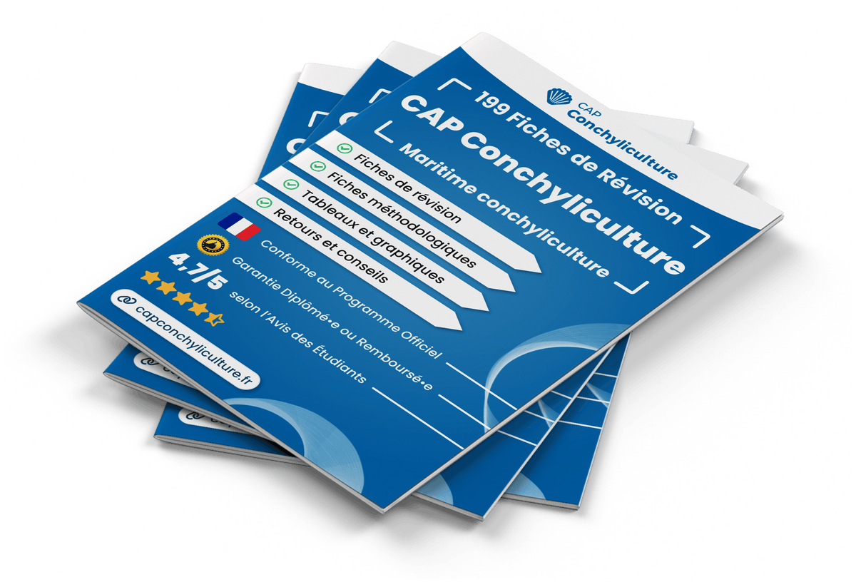 Image produit fiches-de-revision